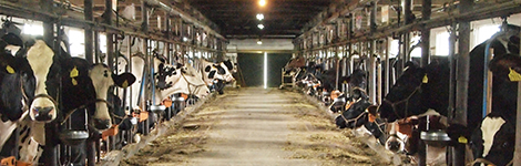 畜舎内工事専門で培った技術力