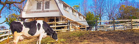 低コスト・安心施工を実施