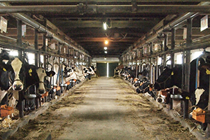 畜舎・鶏舎内の設備・環境の悩みはタカツ技研