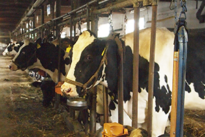 畜舎・鶏舎内の設備・環境の悩みはタカツ技研