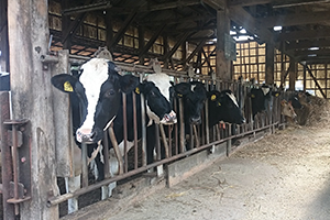 畜舎・鶏舎内の設備・環境の悩みはタカツ技研